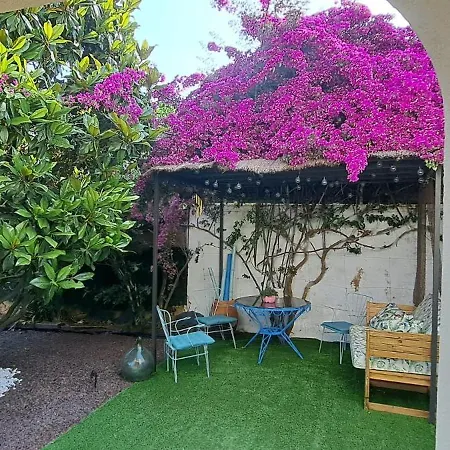 Bougainvillea * Llica d'Amunt